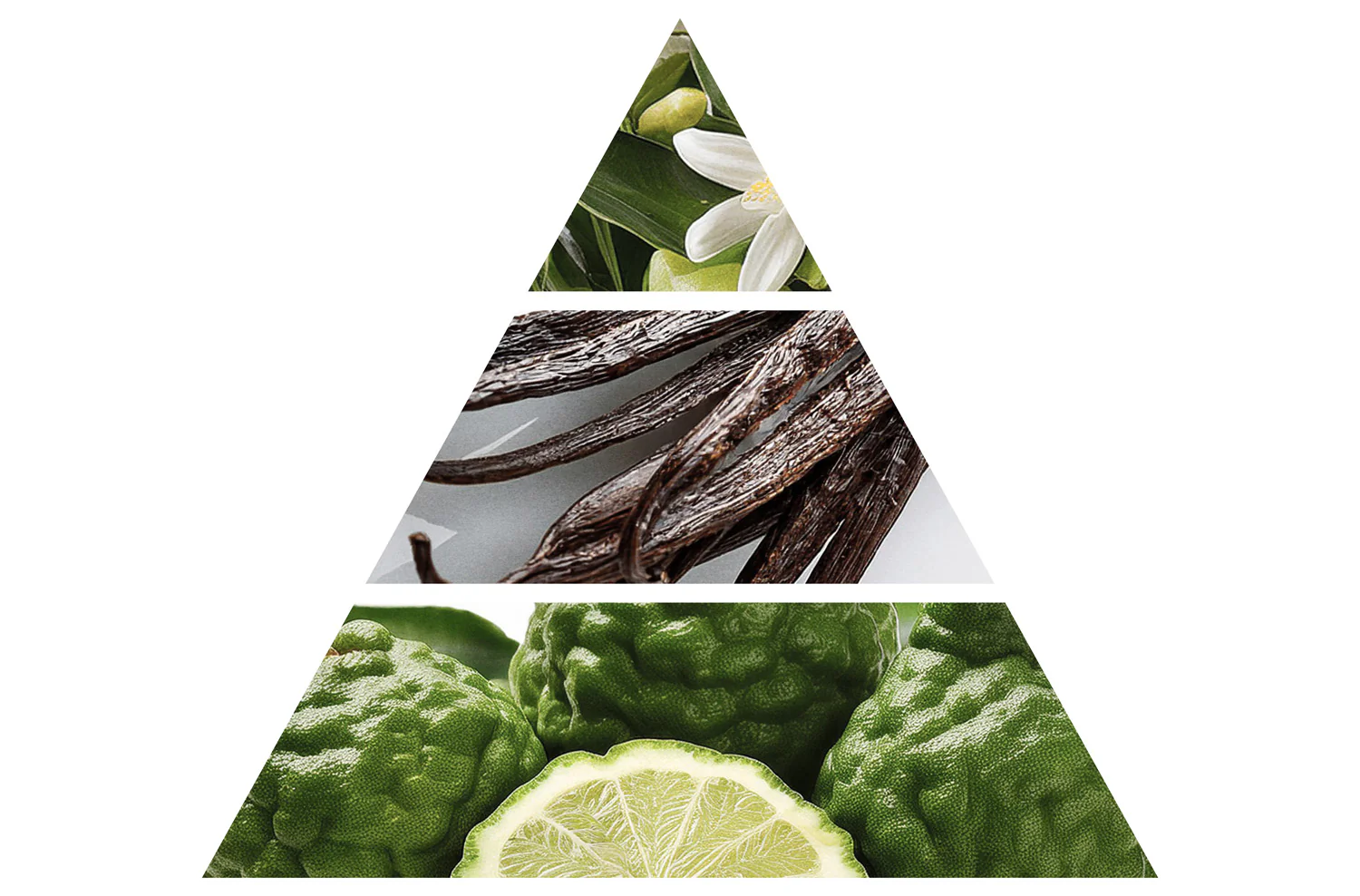 The Nova Candle - Image 3